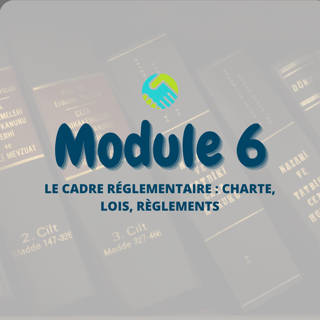 Module 6 :  Le cadre réglementaire : charte, lois, règlements