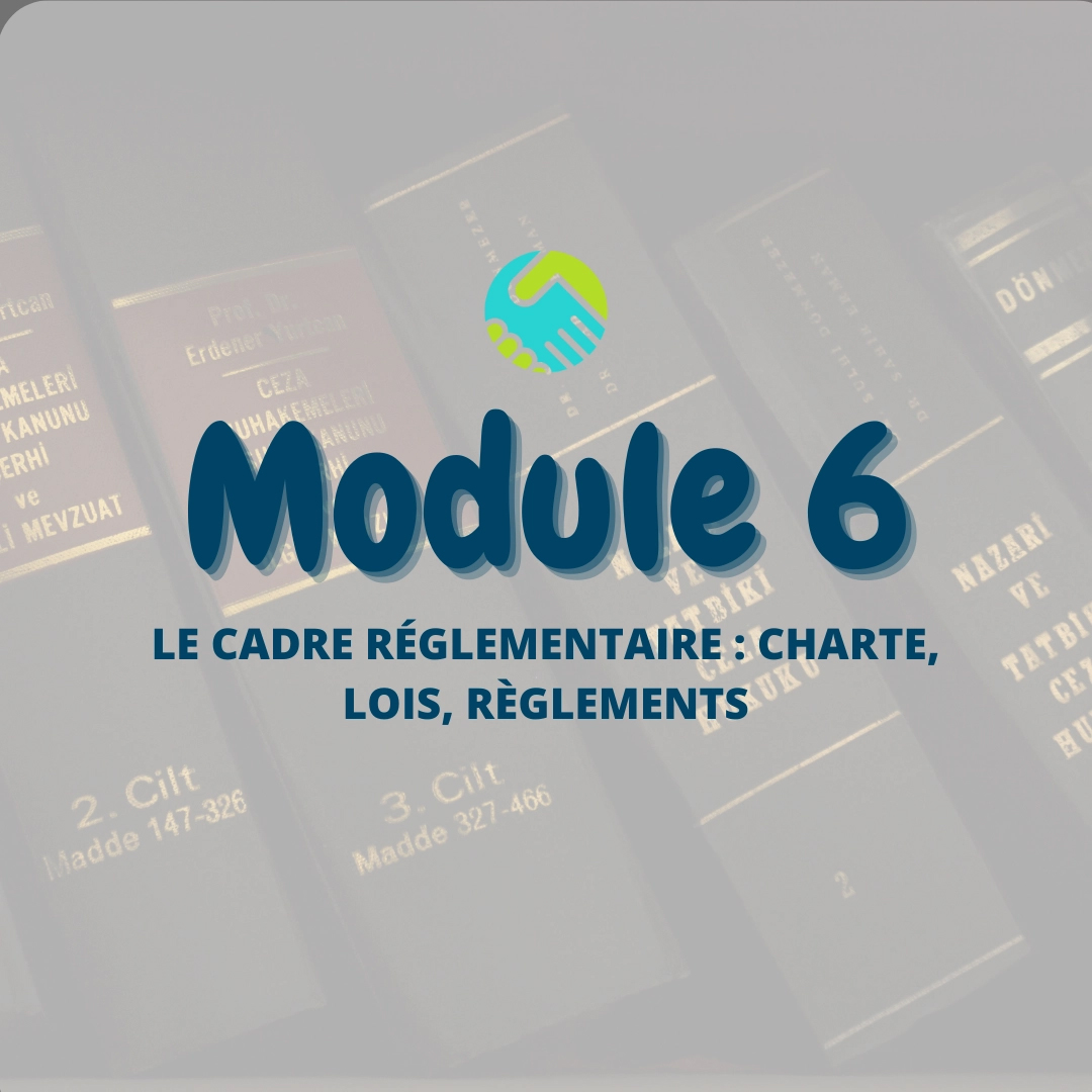 Module 6 :  Le cadre réglementaire : charte, lois, règlements