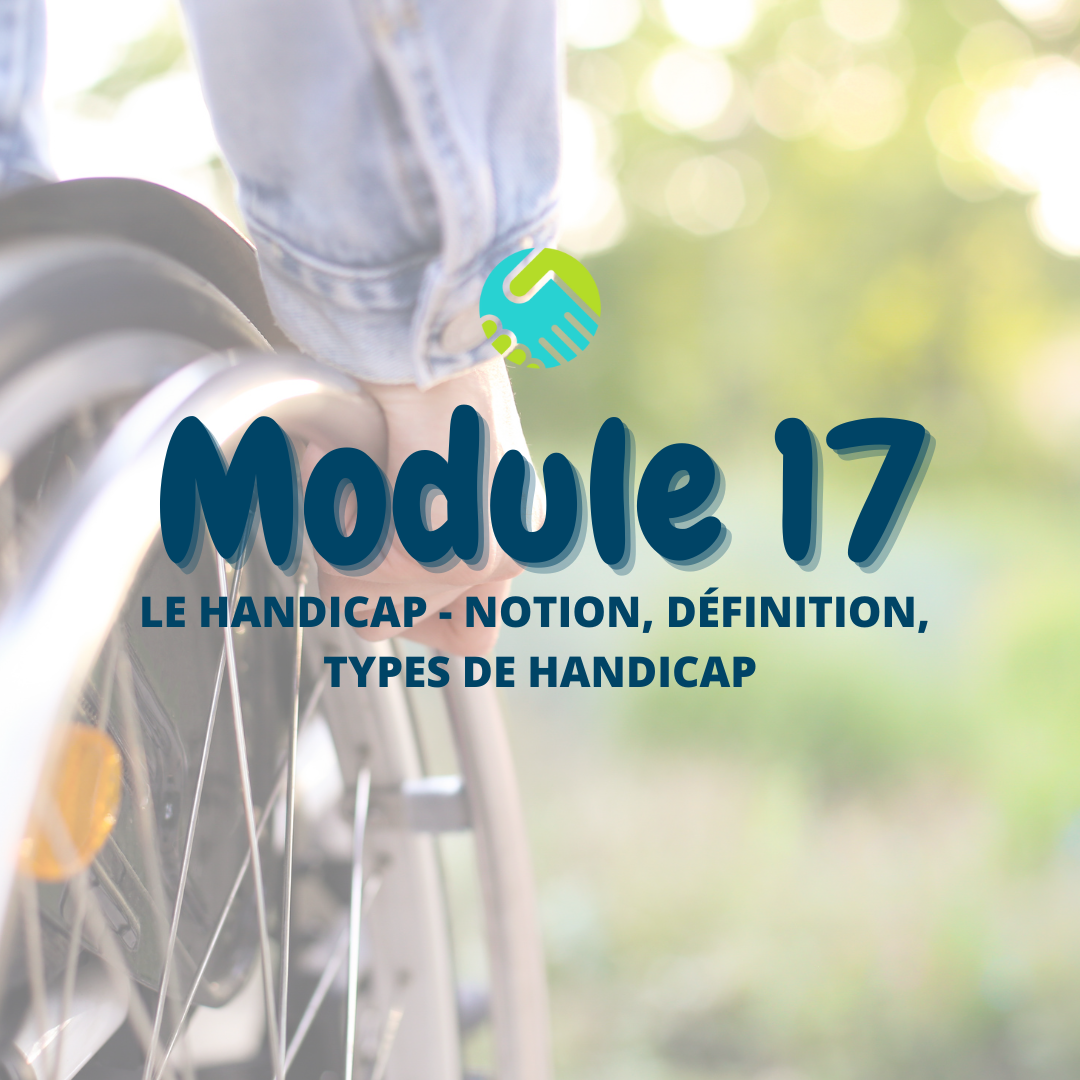 Module 17 : Le handicap - Notion, définition, types de handicap
