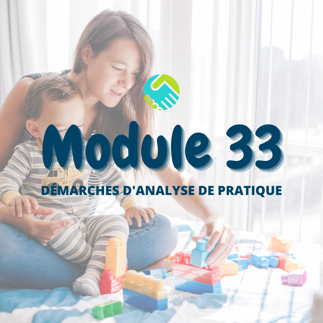 Module 33 : Démarches d'analyse de pratique
