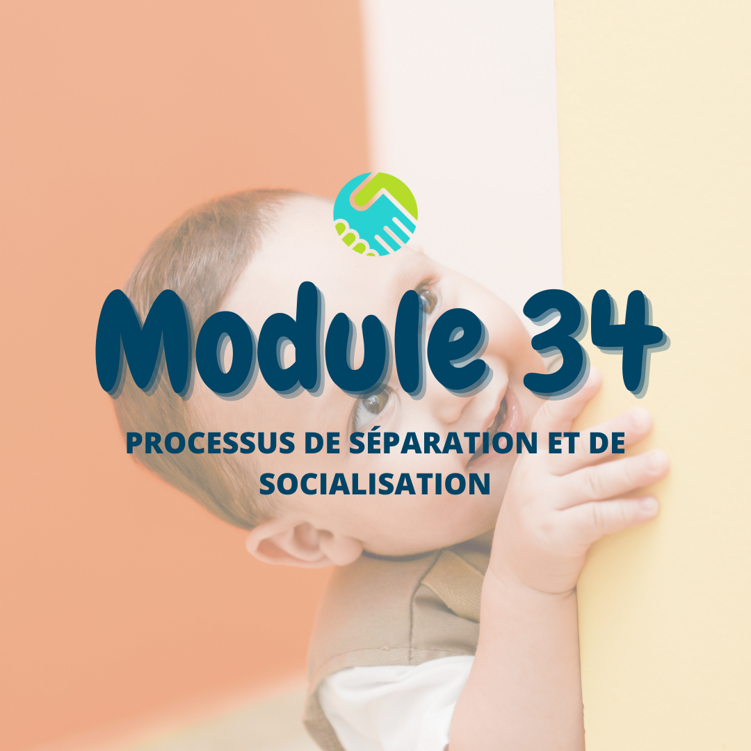 Module 34 : Processus de séparation et de socialisation