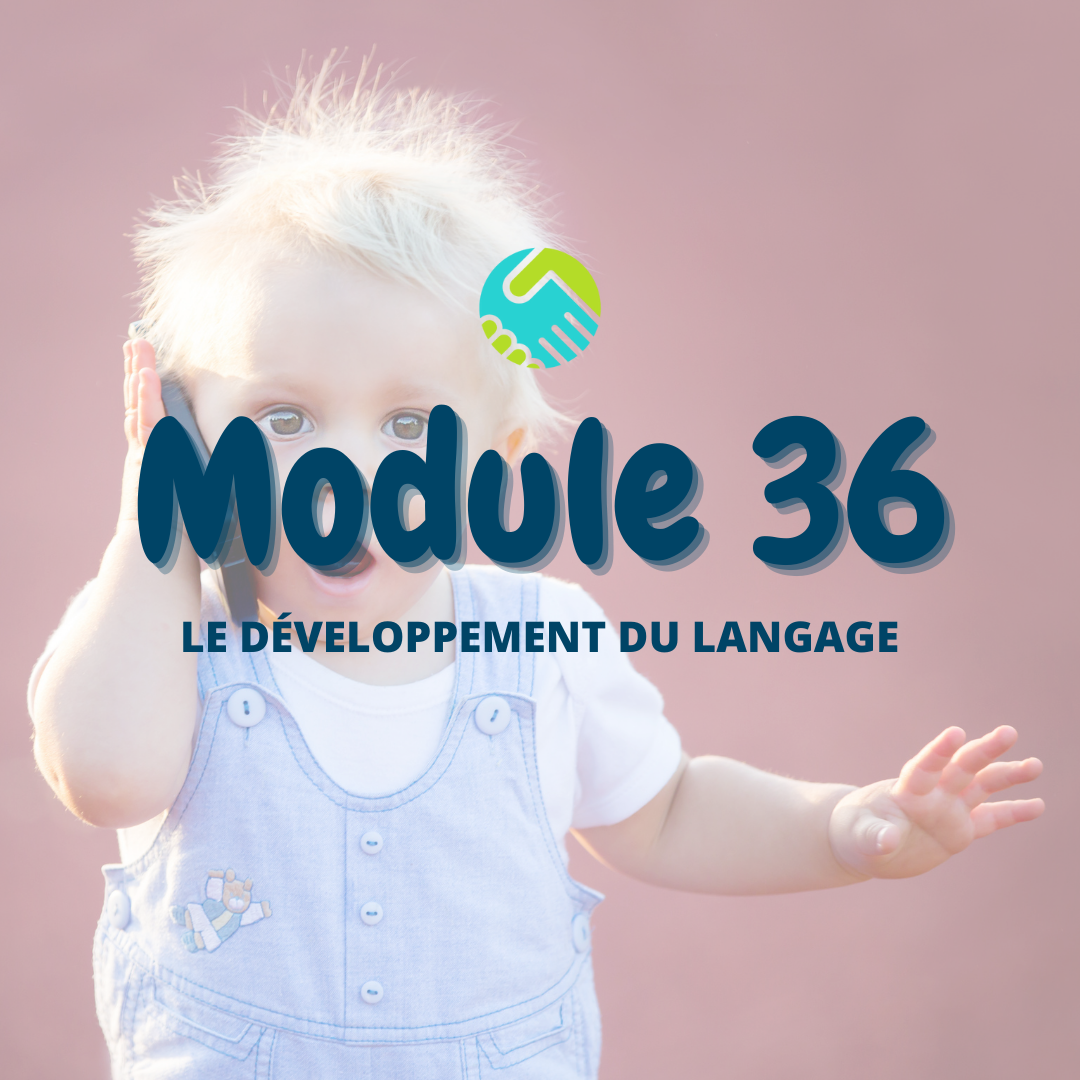Module 36 : Le développement du langage