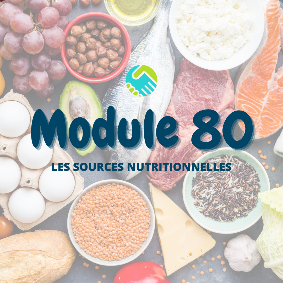 Module 80 : Les sources nutritionnelles 